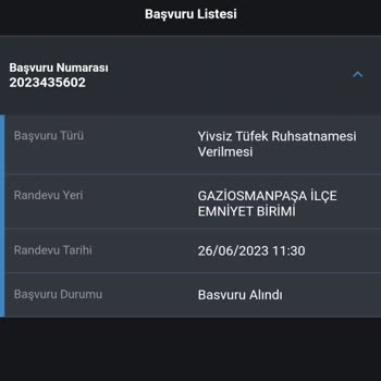 E-Devlet (Turkiye.gov.tr) Yivsiz Silah Ruhsatı Geç Çıkması