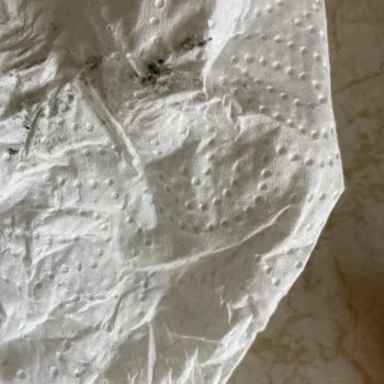 Kitchenaid Gurme Chef Mutfak Robotu Gıdaya Siyah Boya Veriyor