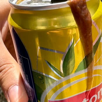 Lipton İce Tea'nin İçinden Böcek Ve Garip Şeyler Çıktı