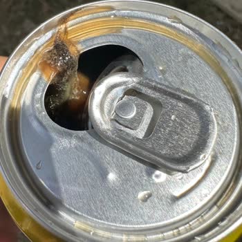 Lipton İce Tea'nin İçinden Böcek Ve Garip Şeyler Çıktı