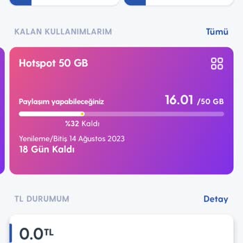 Turkcell Hattımın Bakiyesi Neden Kesiliyor?