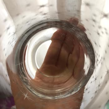 Mintax Kalitesiz Bulaşık Deterjanı