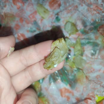 Popeyes Korupark Şube Eksik Ürün Gönderdi ve Marullar Ölmüş Simsiyah