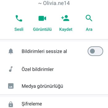 WhatsApp Yabancı Tanımadığım Numaraların Beni Araması