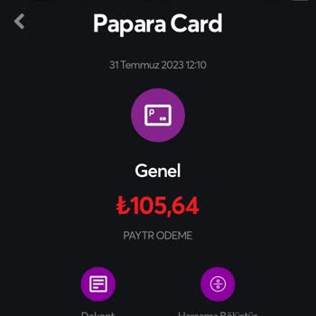 Paytr İznim Olmadan Para Çekilmesi