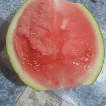 Akyurt Süpermarket Öveçler'den Meyve Sebze Alınmaz!