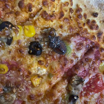 Getir'den Söylediğim Domino's Pizza'dan Böcek Çıktı İadem Yapılmadı