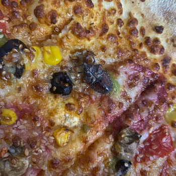 Getir'den Söylediğim Domino's Pizza'dan Böcek Çıktı İadem Yapılmadı