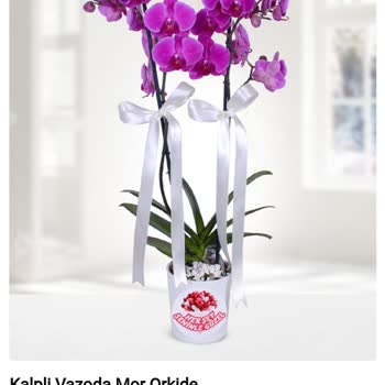 Cicekmarket.com Siparişimdeki Ürünü Göndermedi.