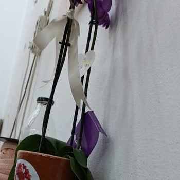 Cicekmarket.com Siparişimdeki Ürünü Göndermedi.