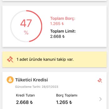 Findeks'ten Silinmeyen Borç