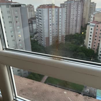 Eleman Yönlendir Kesinlikle Memnun Değilim