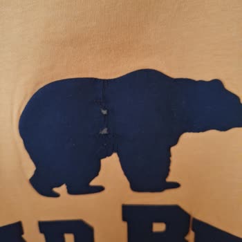 Bad Bear'dan Aldığım T-Shirtlerde Yıkama Sonrası Baskı Problemi