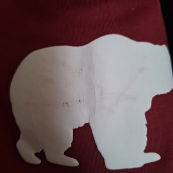 Bad Bear'dan Aldığım T-Shirtlerde Yıkama Sonrası Baskı Problemi