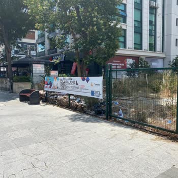 Kadıköy Belediyesi Boş Arsalardaki Çöp Yığını