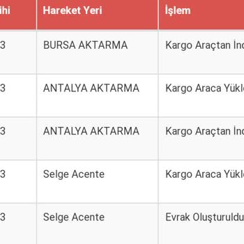 Sürat Kargo Bursa Aktarma Dağıtıma Çıkmıyor