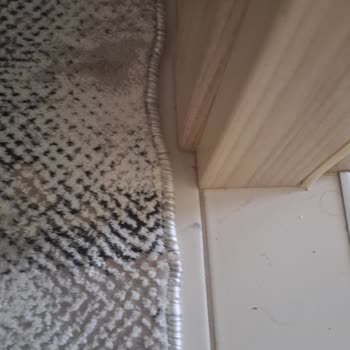 Karmen Halı Yıkandı Ve Çekti