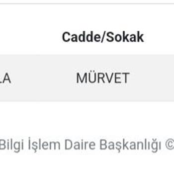 İBB Bina Tespiti Aylar Geçmesine Rağmen Yapılmadı