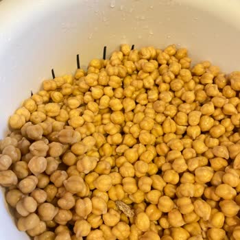 Reis Marka Nohudun İçindeki Taşlar