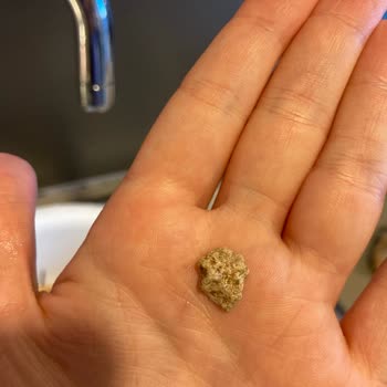 Reis Marka Nohudun İçindeki Taşlar