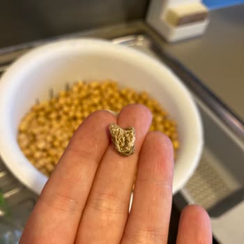 Reis Marka Nohudun İçindeki Taşlar