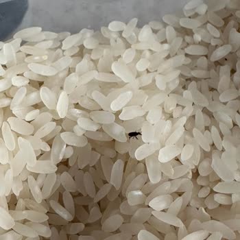 BİM Böcekli Pirinç Baldo