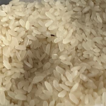 BİM Böcekli Pirinç Baldo