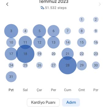 Denizbank DenizKartım Kaptanın Görevi Eksik Bonus Hesaplama Sorunu