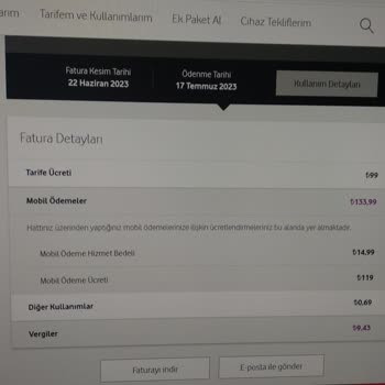 Vizyon Elektronik Para Ödeme Hizmetleri Hattıma Abonelik Yansıtmıştır.