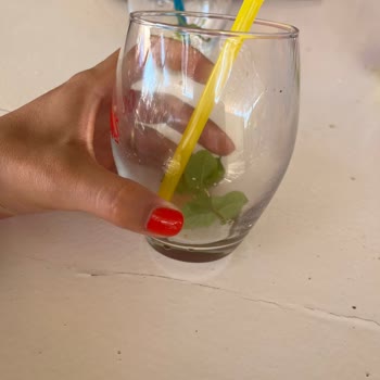 Yalı Cafe (Bodrum) Fiyat Etiketi Ve Menü Yok