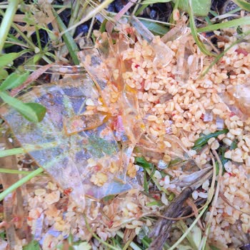 Emsan Ürünün Arkasında Durmuyor