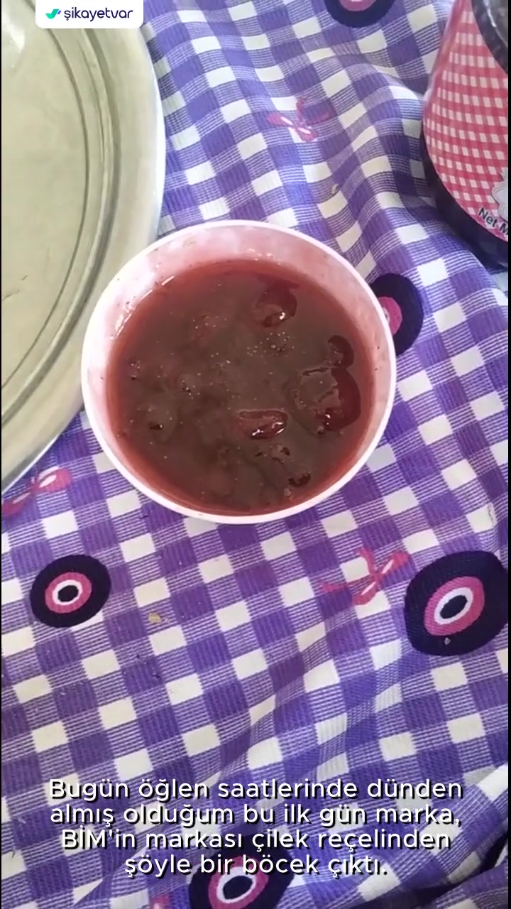 BİM İlk Gün Markalı Reçelden Böcek Çıktı videonun kapak resmi