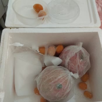 Aseriyorum.net Portakal Yerine Değişik Bir Obje