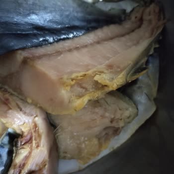 A101 Bozuk Balıklar İnsan Sağlığı