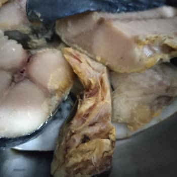 A101 Bozuk Balıklar İnsan Sağlığı