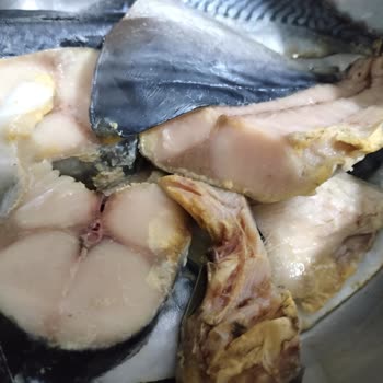 A101 Bozuk Balıklar İnsan Sağlığı