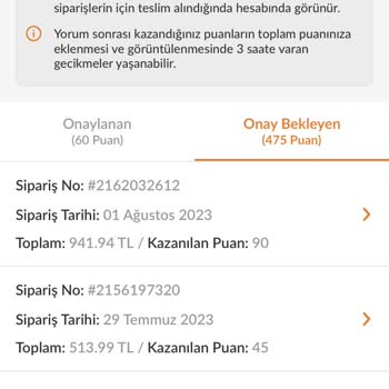 Trendyol Beklemede Olan Puanlarım Yüklenmiyor