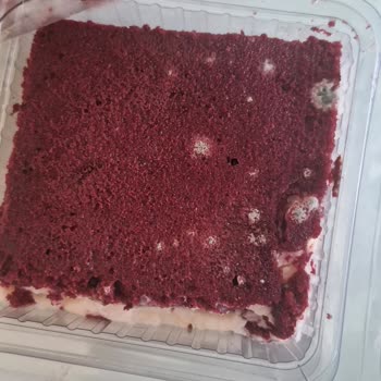 BİM Osmanoğlu Damak Tadi Kadife Tatli Küflü Ve Ekşimiş