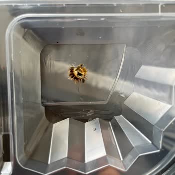 Fit House Omletten Çıkan Diken