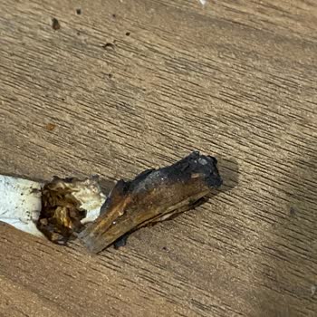 Philip Morris Sigaradan Çıkan Madde