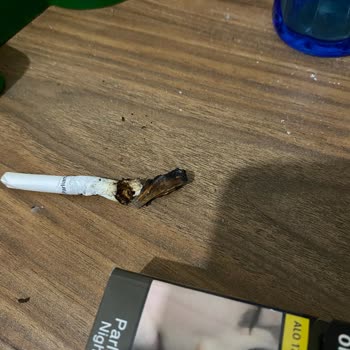 Philip Morris Sigaradan Çıkan Madde