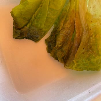 Köfteci Yusuf Osmaniye Toprakkale Şubesi Çiğ Yemek