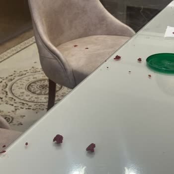 Migros'tan Aldığım Salça Patladı