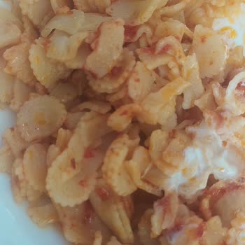 A101 Makarnanın Hamur Ve Kırılması