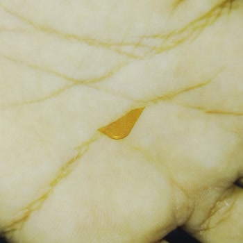 Ülker Çubuk Kraker Paketinden Plastik Parçaları Çıktı