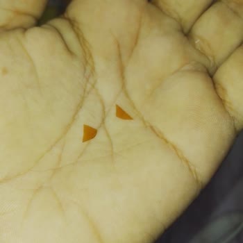 Ülker Çubuk Kraker Paketinden Plastik Parçaları Çıktı