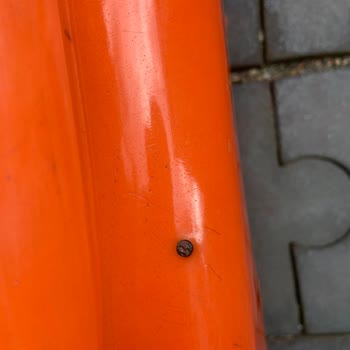 İBB - İstanbul Büyükşehir Belediyesi Altıntepe Güvercin Park