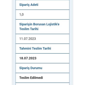 Borusan Lojistik 20 Günde Bile Teslim Edemiyor
