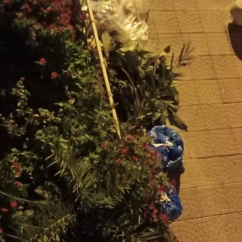Çanakkale Belediyesi Çöpler Koku Kötü Manzara