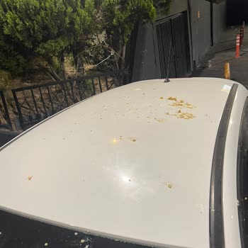 Merter McDonald's Şubesindeki Otoparkta Yaşadığım Üzücü Deneyim